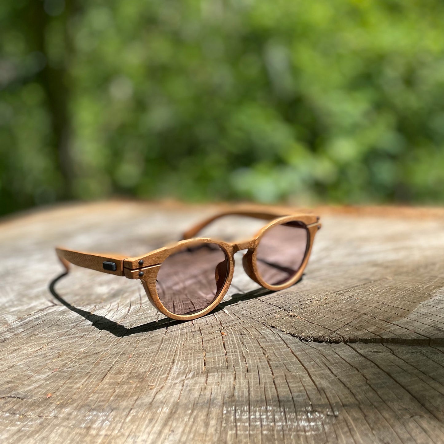 SUNGLASSES_ model - MOE