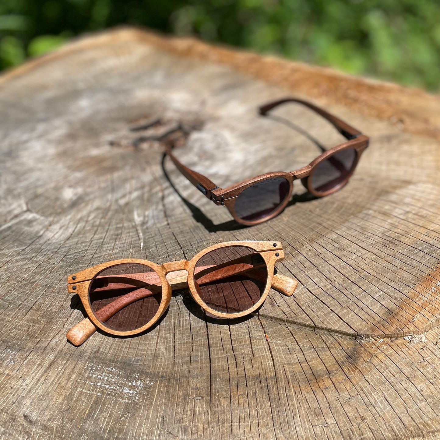 SUNGLASSES_ model - MOE