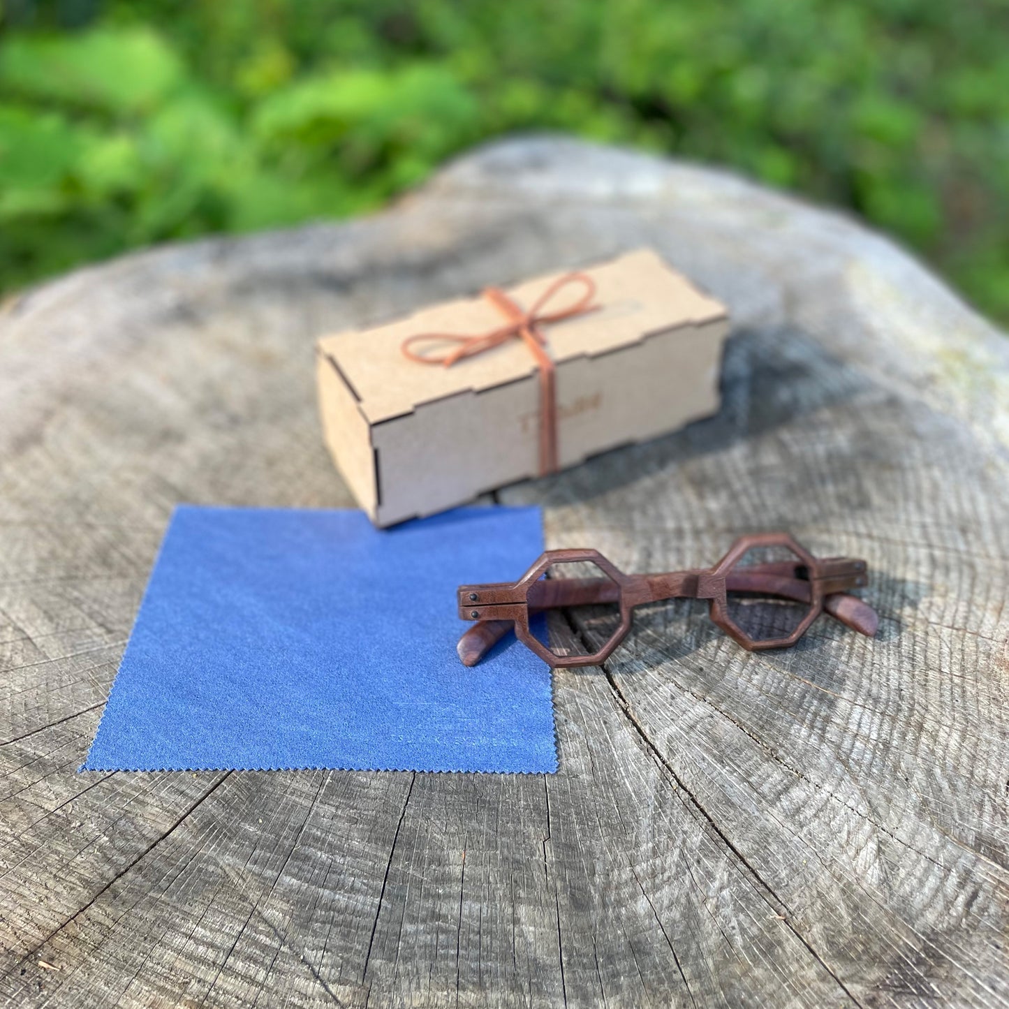 SUNGLASSES_ model - SAITO