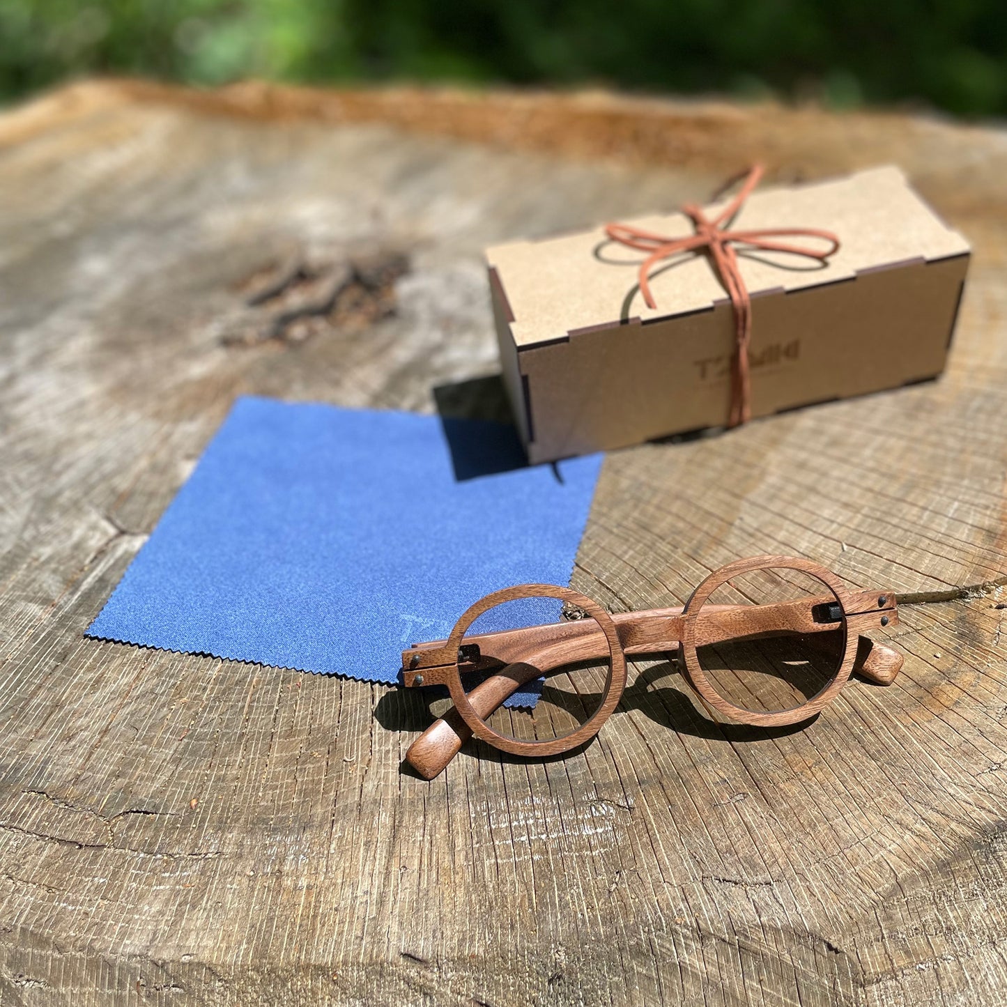 SUNGLASSES_ model - SO