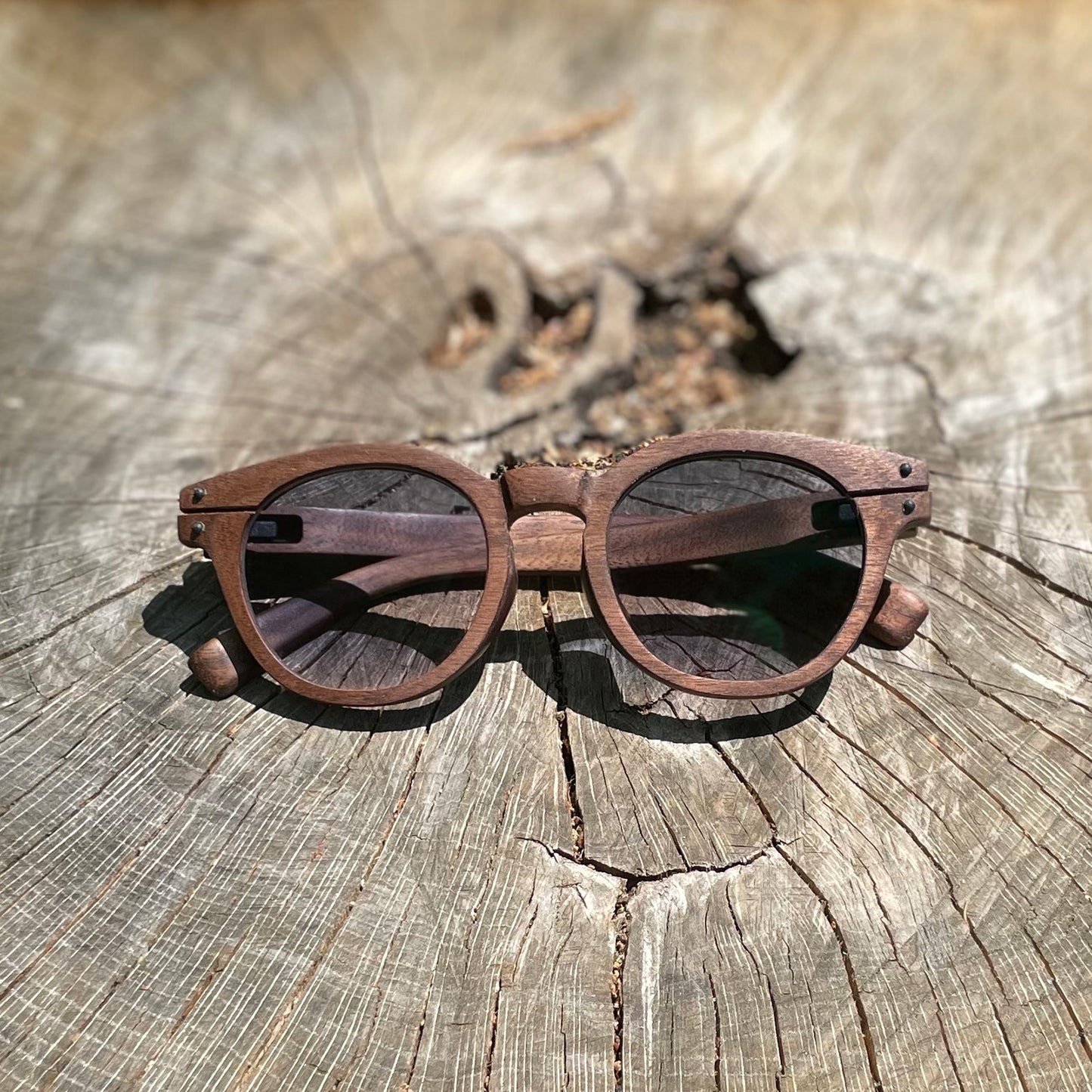 SUNGLASSES_ model - TOMO