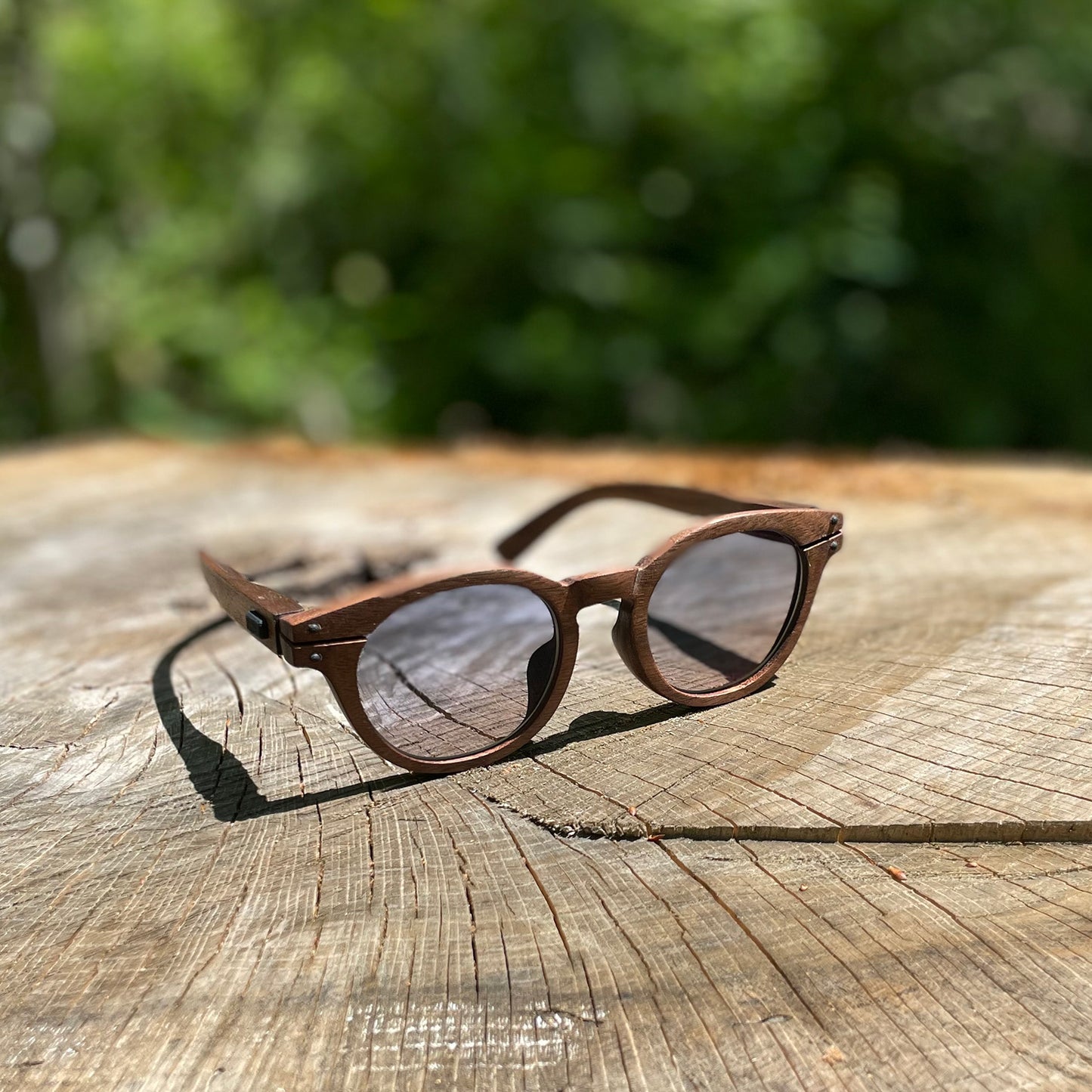 SUNGLASSES_ model - TOMO